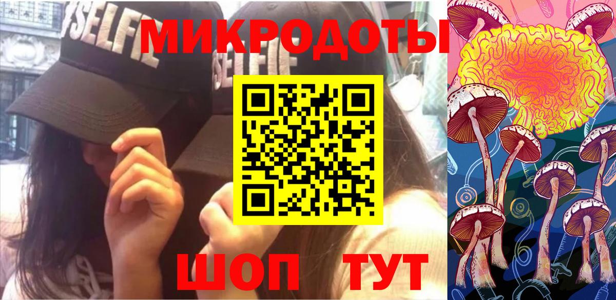 Галлюциногенные грибы Cubensis  цена   Сунжа  Вход с VPN 