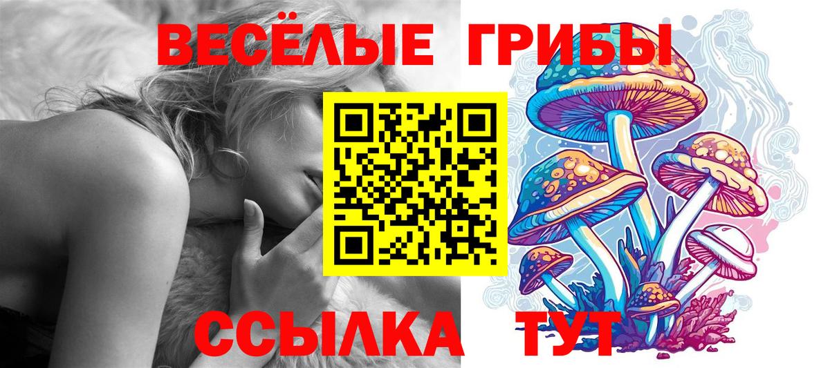 Псилоцибиновые грибы мицелий Сунжа